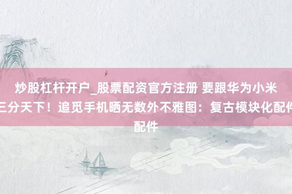 炒股杠杆开户_股票配资官方注册 要跟华为小米三分天下！追觅手机晒无数外不雅图：复古模块化配件